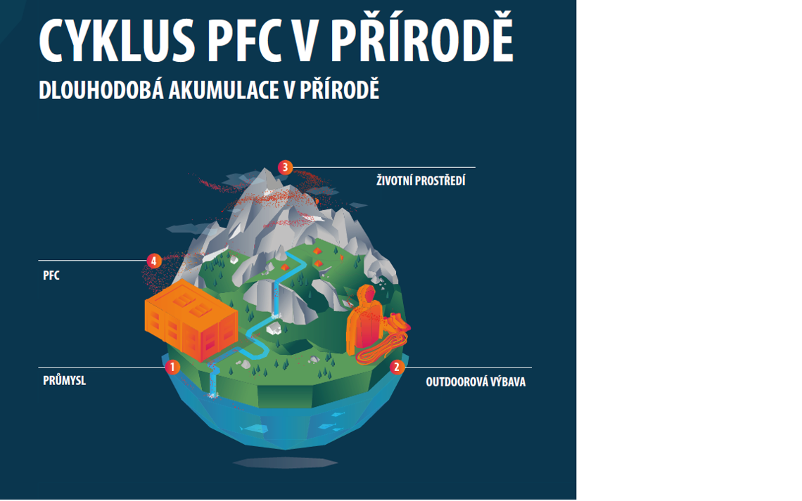 cyklus_pfc_v_prirode_greenpeace.png