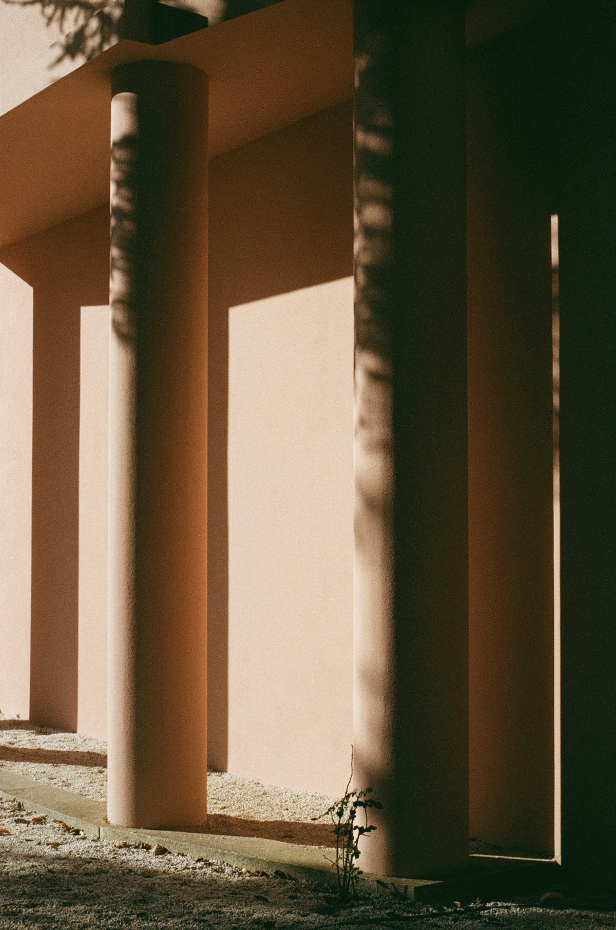 serralves-vila-01.jpg